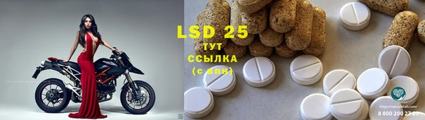 spice Бугульма