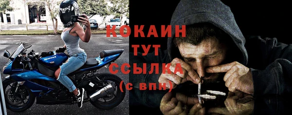 первитин Богородицк
